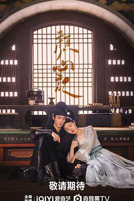 网站排名优化案例宙z斯棒